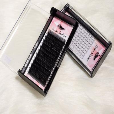 China High Quality Curly Fluffy Flat Hair Double Eyelash Extension Soft PBT Fiber False Eyelashes for sale