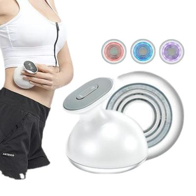 China Body Slimming Portable Useful Body Slimming Device RF EMS Photon Function for sale