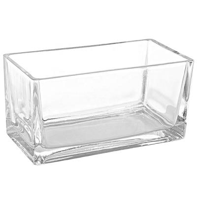 China Europe 7.5-Inch Modern Rectangular Clear Glass Vase 10x10x20cm for sale