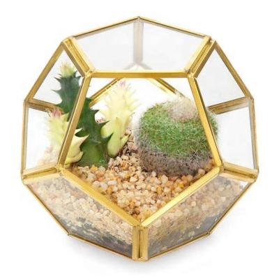 China Europe 3 Packs Mini Glass Geometric Terrarium Container For Air Plant Succulent Miniature Fairy Garden for sale