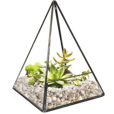 China Durable Sodium Calcium Glass Pyramid Europe Mini Greenhouse for sale