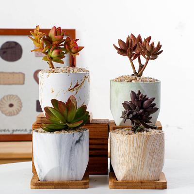 China Contemporary Wholesale Home Decor Accessories Flower Pots Ceramic Pot For Succulent Plants With Bamboo Tray for sale