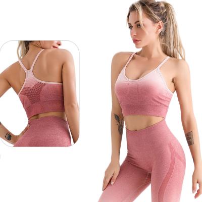 China Bra Breathable Seamless Crop Top Sports Gradient Sports Wear Gym Elastic Crop Top Breathable Seamless Bra for sale