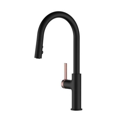 China Pulverizador de Matte Black With Pull Down do torneira do misturador da cozinha de AE45107MB à venda