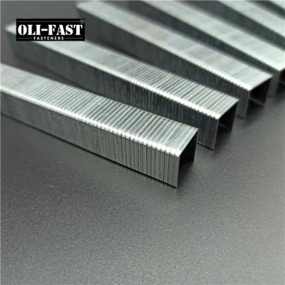 China ZINC 20 GA 50 Series Galvanized Staples, China Staples Factory for sale