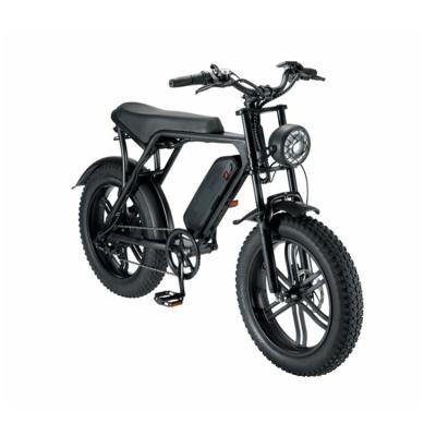 China 2022New Design Electric Bicycle 48V 16Ah Steel Frame Tire Electric Fat Bike Electric Motor For Bicycle for sale