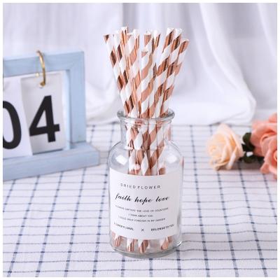 China Recyclable Wholesale Fashion Design Coconut Straws Eco-friendly Juice Milk Drinkware Reusable Paper Straws for sale