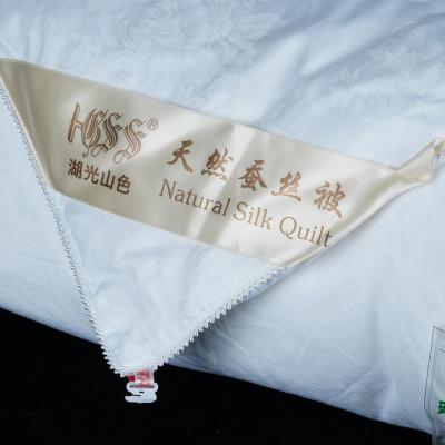 China High Quality Customization Cocoon Washable Silk Quilt for summer for sale