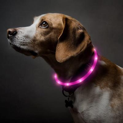 China Lights Collar Dog Led Safety Accesorios Usb Rechargeable Led Dog Collar For Small Dogs for sale