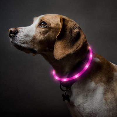 China USB Rechargeable Dog Collar Light Pet Safety Viable Flash Collar Leads Silicone Dog Collar for sale