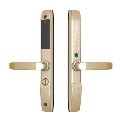 China Office Keyless Entry Keypad Wireless Digital Password Card Door Handle Lock App TTLock Electronica Para Puertas Cerraduras Para Puertas for sale