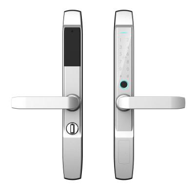 China Office Waterproof IPX5 Zinc Alloy TTLock App Fingerprint Password Keyless Entry EU Moritse Sliding Aluminum Door Handle Smart Lock for sale