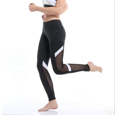 China Breathable Leggings Sports Women Fitness Yoga Pants Gym Legging Tights Sports Woman Clothing for sale