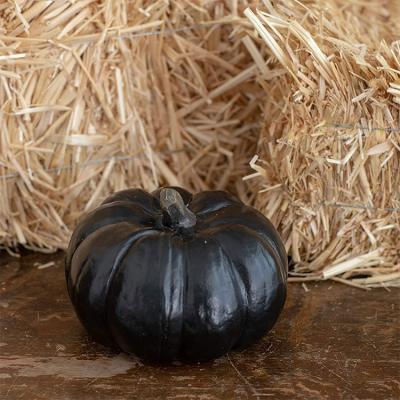 China Europe Halloween Resin Decoration Wholesale Hand Painted Black Pumpkins* for sale