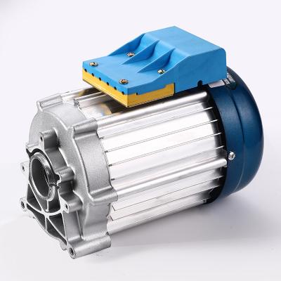 China Waterproof 48V 60v 72V 2KW BLDC electric motor conversion for tricycle, boat, bike, golf carts, mini ev for sale