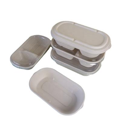 China Biodegradable Biodegradable Sugarcane Bagasse Food Tray With Lid Dish Dish Tableware Disposable Sugarcane Food Container for sale