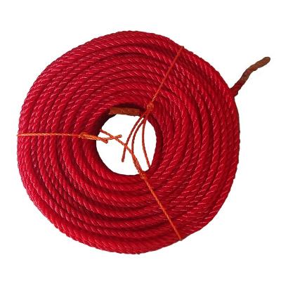 China Cheap Price 3 Polyethylene Twisted 3MM Strands And Up Danline PE Twine Rope Trasmallo De Pesca Colorful Tramails Fishing Net For Sale for sale