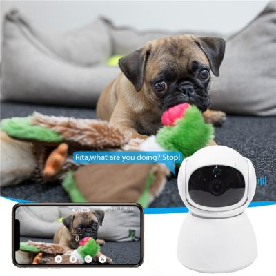 China Hot Selling NIGHT VISION Smart Home Security CCTV 1080P HD PTZ WIFI Camera For Surveillance IP Auto Trail Camera for sale