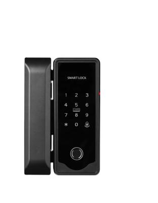 China Tediton Wifi Tuya Remote Control Easy Installation Fingerprint Digital Smart Glass Biometric Door Lock For Office for sale