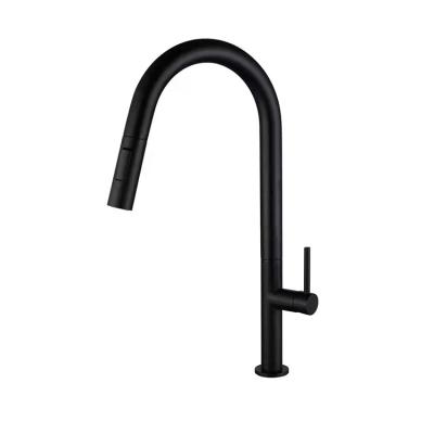 China Sense Faucets High End Brass Kitchen Faucet Single Handle Pull Down Kitchen Faucets Mixer Tap Hot And Cold Water Pull Out Kitchen Faucet for sale