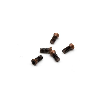 China CNC Tool Holder China Manufacture Carbide CNC Tool Holder Insert Screws for sale