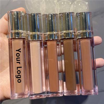 China High quality waterproof moisture free fashion private label cruelty vegan natural organic nude lip gloss for sale