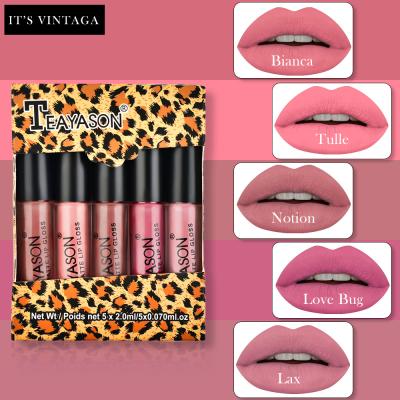 China Wateproof 5Pcs Rose Mist Lipstick Set Easy to color Matte Lipstick Beauty Makeup Perfect long lasting for party casual life mini lip gloss for sale