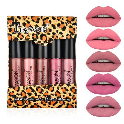 China Wateproof Matte Lip Glaze 5 Mini Box Set Lip Gloss Non Sticky Cup Lipstick Nude Pumpkin Color for sale