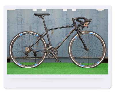 China Outdoor street outdoor type new Sport model bicycle with good quality for sale adult bicycle for sale