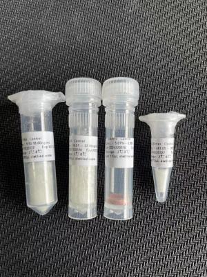 China Herztroponin neue Produkte CTnI ich Gerät Kit Fluorescence Immunoassay Fors IVD zu verkaufen