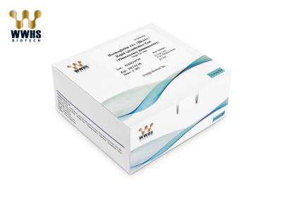 Cina Il CE di HbA1c IFA Rapid Test Kit WWHS POCT ha approvato la cassetta rapida IVD di diagnosi del sangue in vendita