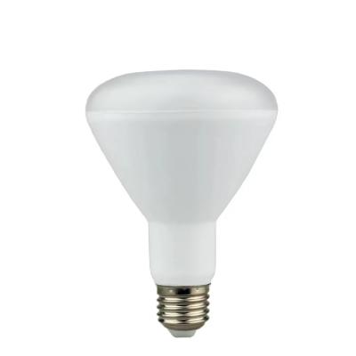 China BR20 BR30 BR40 110v/220v LED Residential Light Bulbs for sale