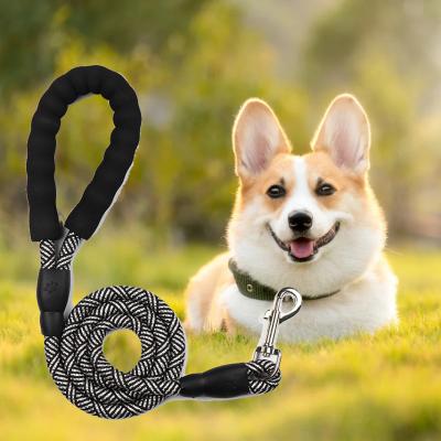 China Premium Soft Sturdy Lead Nylon Quick Release Pet Dog Leash Quick Release Training Leash Pet Walking Collar For Large Dog for sale