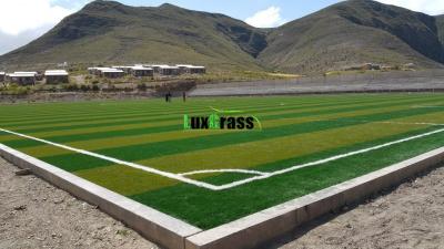 China UV Resistant Soccer Artificial Grass 13000 Dtex With Double Stem Professional Futsal Soccer Artificial Grass for sale