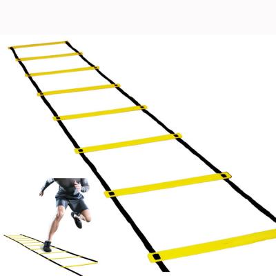 China Speed ​​Resistance Explosiveness Agility Football Training Equipment Set Adjustable Training Speed ​​Sports Agility Ladder for sale