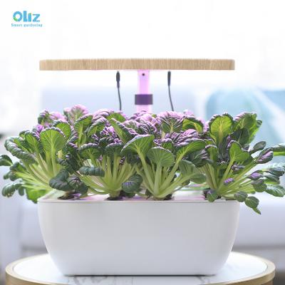 China Home Garden Oliz Z206 WIFI Smart Minimalist Vegetable Planters Box Self Plant Artificial Plastic Fiberglass Watering Flower Pot for sale