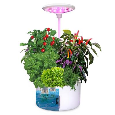 China Home Garden Fiberglass Vegetable Planters Box Plastic Smart Minimalist Indoor Artificial Plant Minimalist Indoor Oliz Z304 Watering Flower Pot for sale