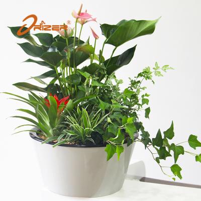 China 2019 Europe Style Biodegradable Planters Plastic Flower Pots For Home And Garden for sale