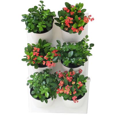 China Single Automatic Irrigation Wall Hanging Plant Wall Flower Pot for Home and Company for sale