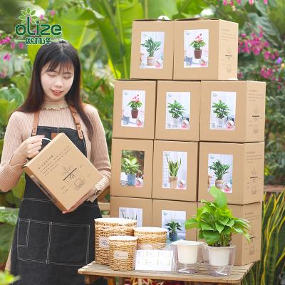 China Outdoor Ornamental Small Free Sample Packaging For Each Items Amazon Wholesale Hot Sales Plastic Flowerpot for sale