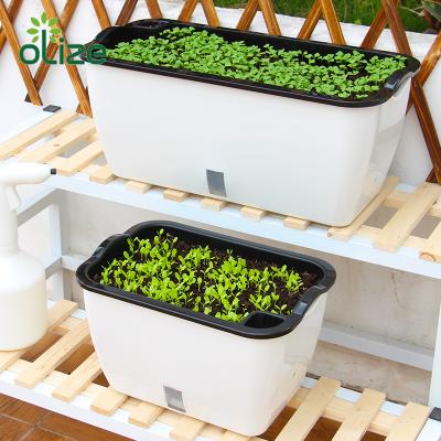 China Plant Biodegradable Garden Flower Vegetable Biodegradable Machine Make Plastic Planter Pots for sale