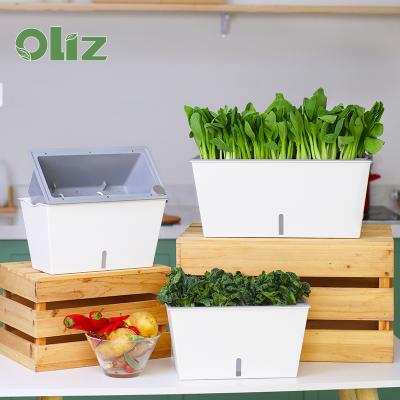 China Biodegradable Indoor &outdoor Grass Window Box Pots Resin Rectangular Plastic Long Plant Basin for sale