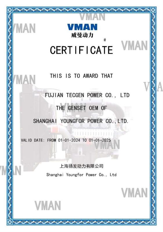 OEM - FUJIAN TECGEN POWER CO., LTD.