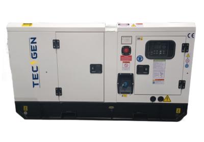 中国 40KW 50KVA 発電機 デジタルコントローラ TG6120N 付きのリカルド ブラシレス 変電機 販売のため