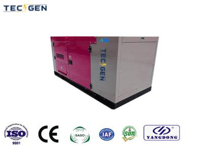 China 45kVA Yangdong Generator Silent 60Hz Genset Powered By Chinese Diesel Engine For Standby Use for sale