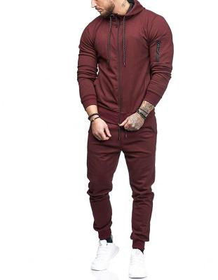 China Wholesale QUICK DRY Men's Spring Autumn Long Sleeve Sport Suit Gym Sets Jogging Sports Two Piece Sets for sale