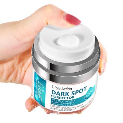 China Whitening Moisturizing Anti Aging Dark Spot Natural Herbal Concealer Anti Aging Wrinkle Firming Face Skin Acne Dark Spot Removing Cream for sale