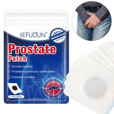 China Prostatitis Chinese Herbal Easy Effective Painful Urination Treatment Prostatitis Sefudun Health Care Prostate Plaster Plaster Treatment for sale