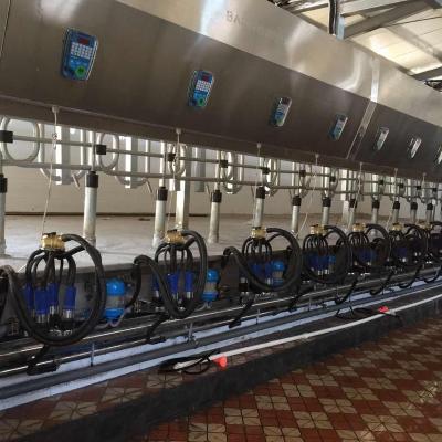 China Farms milking   machine BAIMVO BAIMUWANG for sale