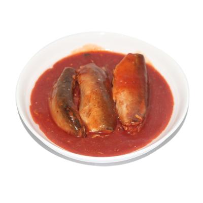 China Hot Selling Cheap Price Canned 425g 155g Canned Mackerel Tomato Sauce And In Brine With Delicious Taste for sale